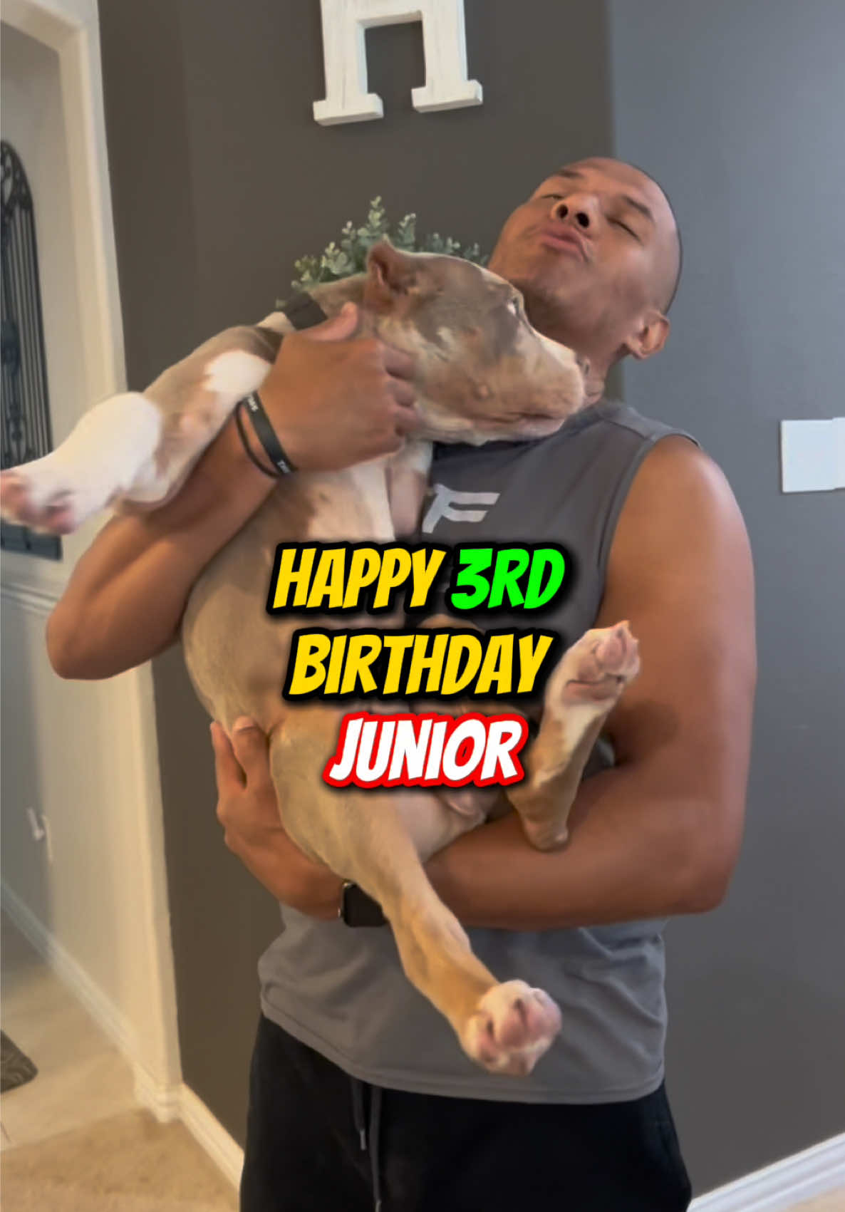 @Better Best Dog