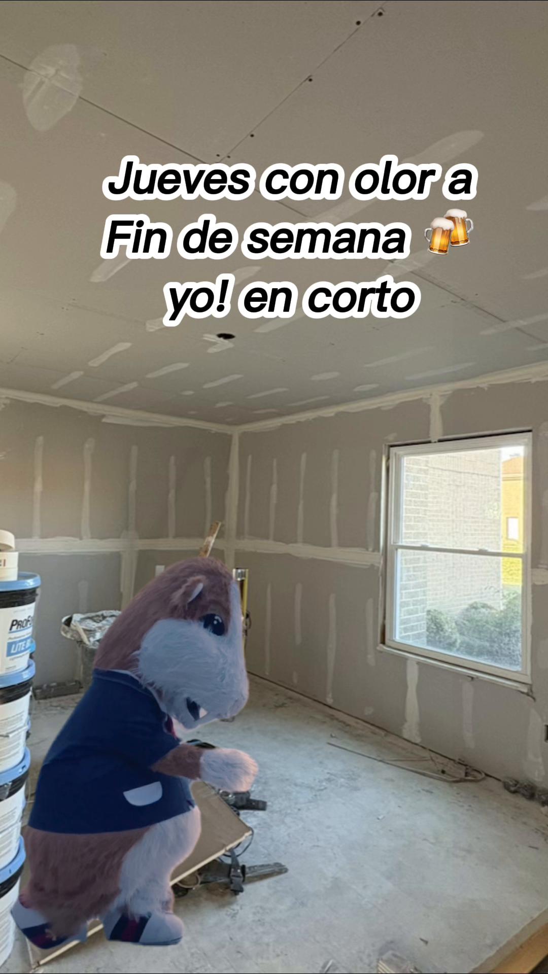 @Solo charadas