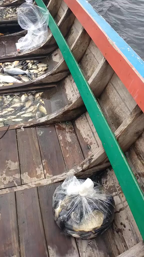 @"HAJI R FISHH" 🐟🐟