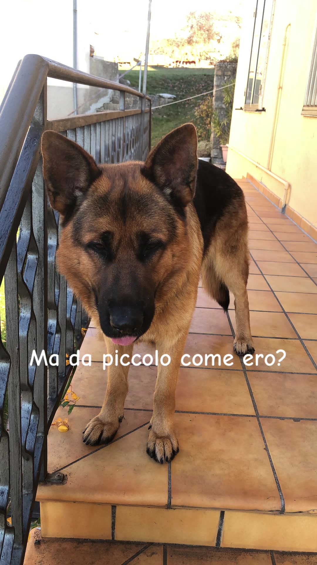 @Marco