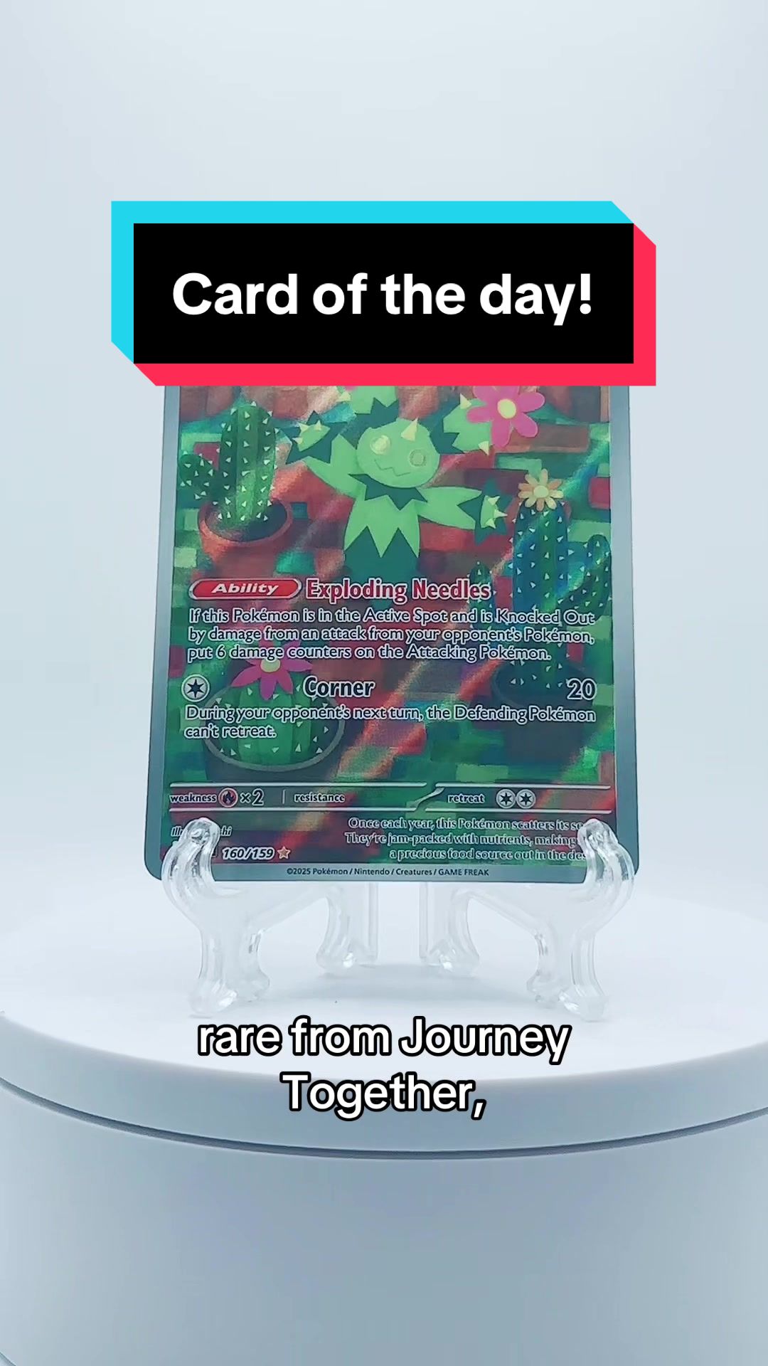 @TCN_Collectibles