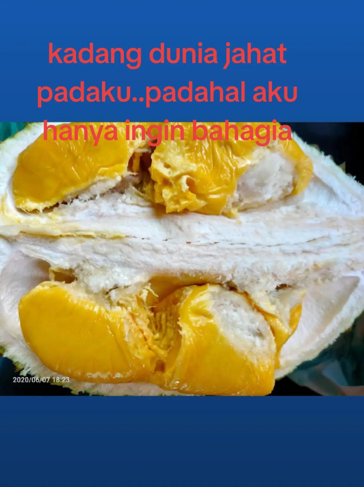 @YB Sahaja
