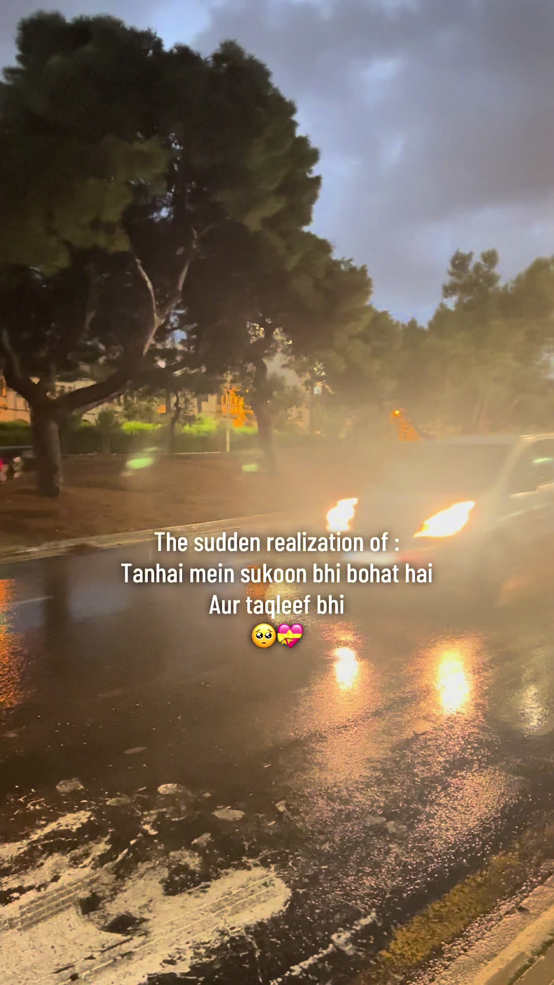 @🌺