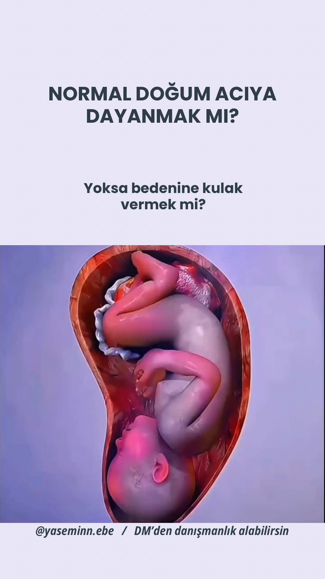 @yaseminn.ebe