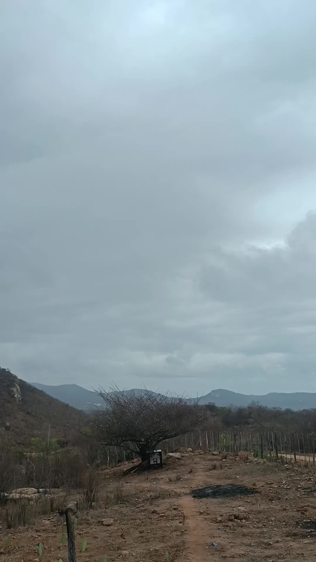 @NordesteCapturado