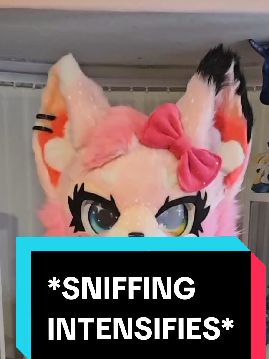 @Gigi 🔜 Scotiacon 2027 🎀