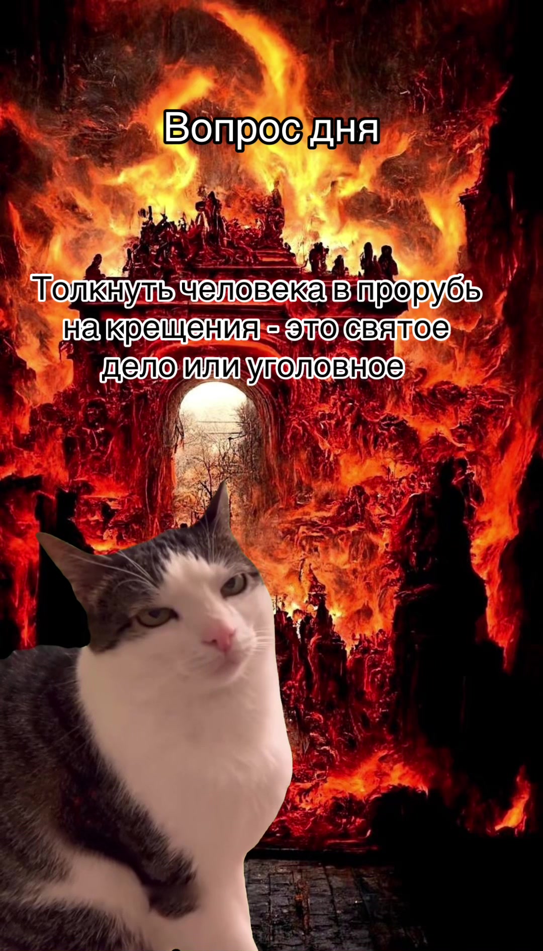 @_Bibo_