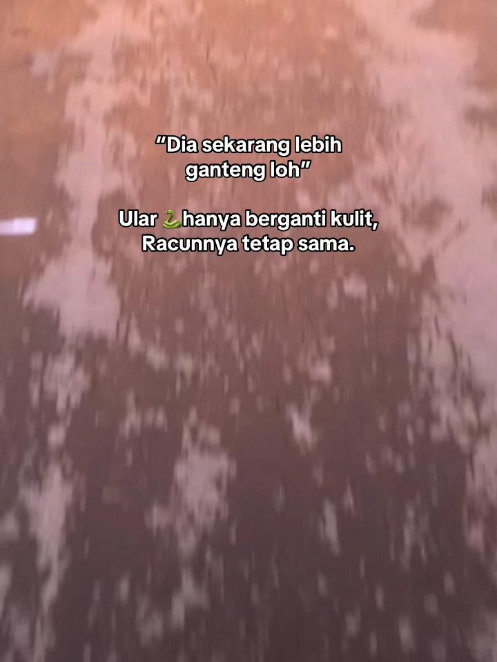 @Senja✨