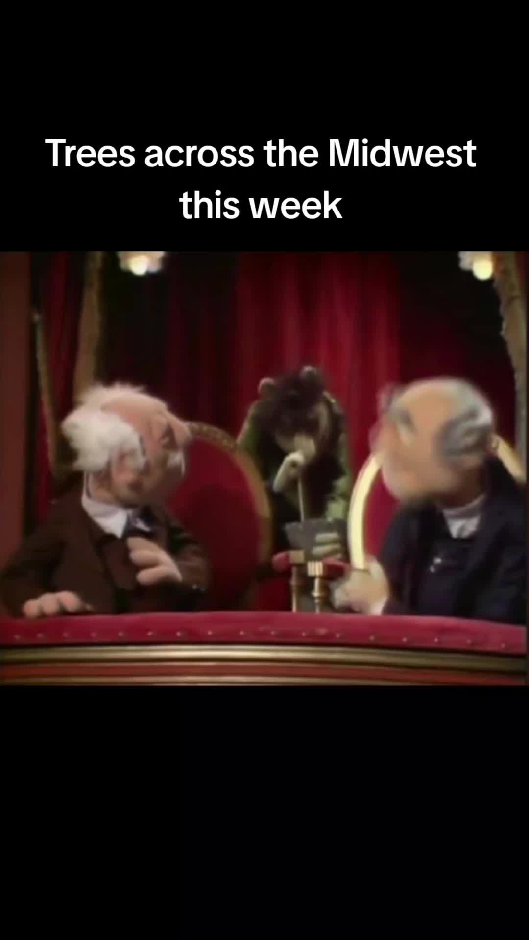 @muppetguy05