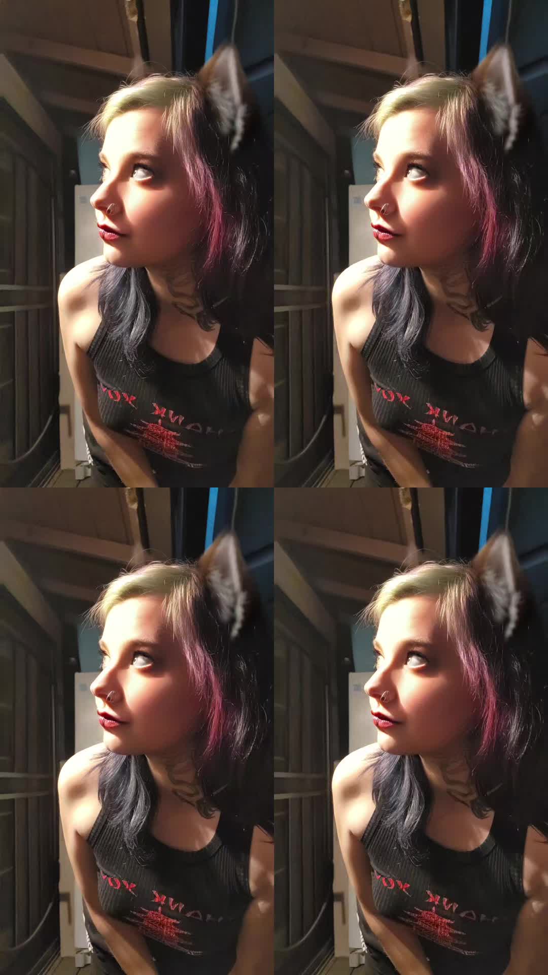 @LeiraKitty