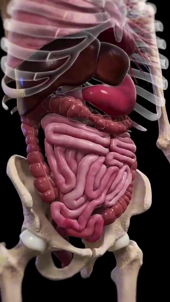@KnowledgeOfPower369