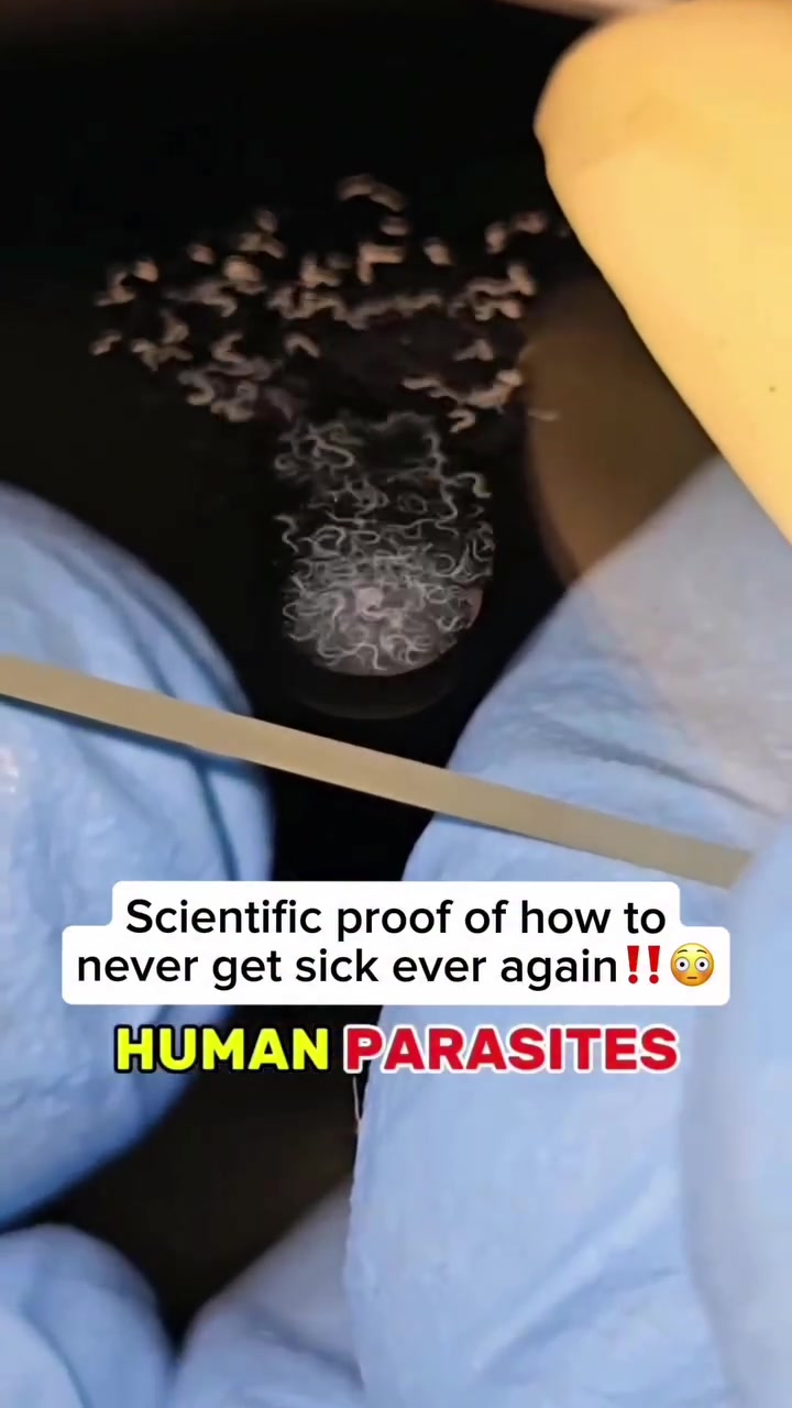 @KnowledgeOfPower369