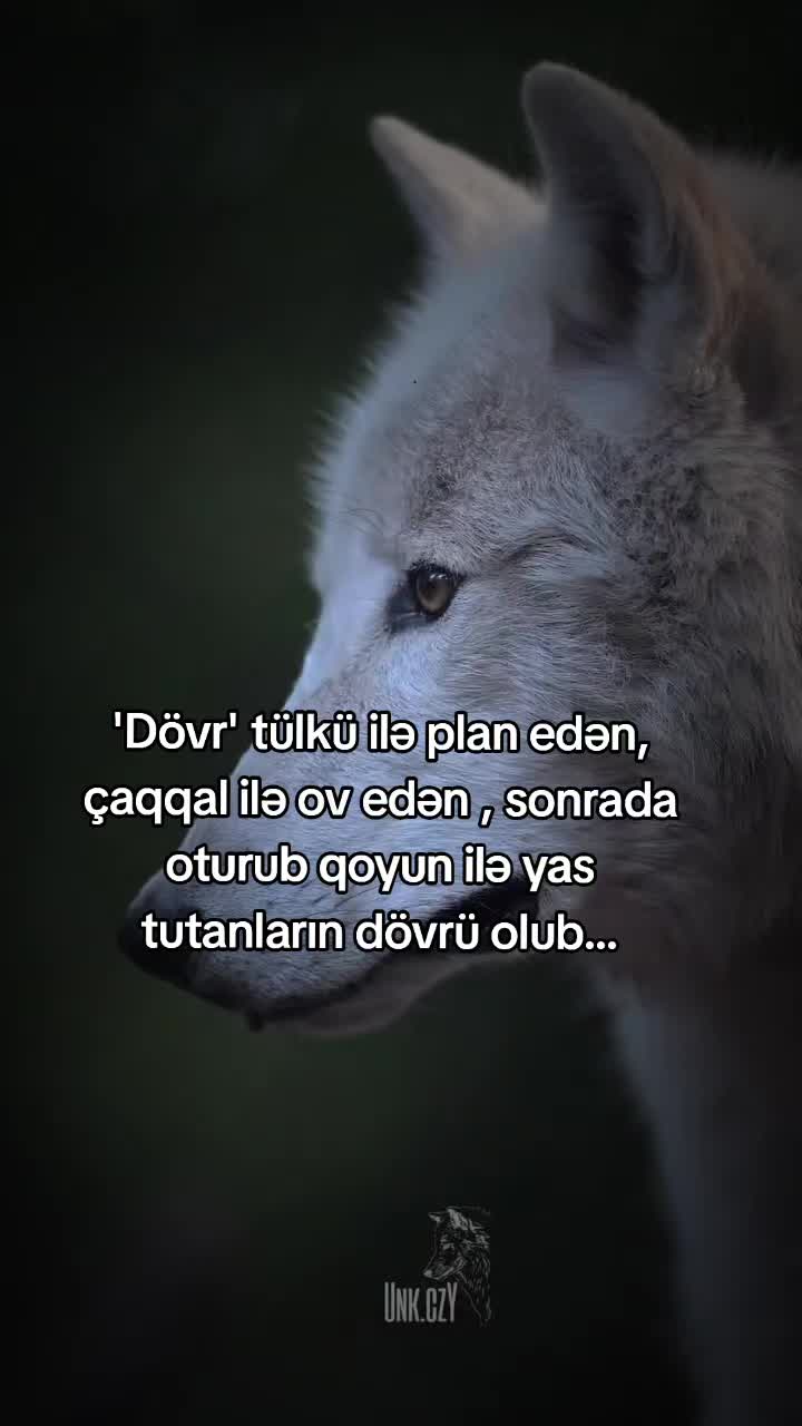 @Rəşad_Rəhimov