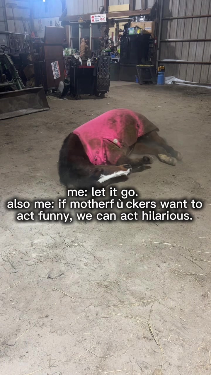 @Lizz
