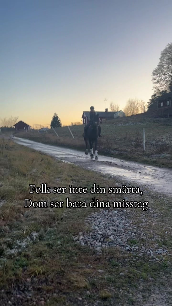 @✨Nova Franz&eacute;n Olsson ✨