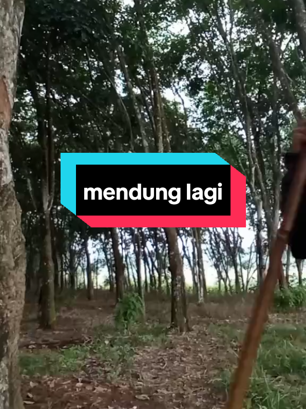 @Dara
