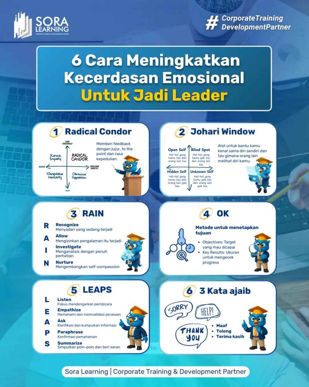 @Soralearning.com