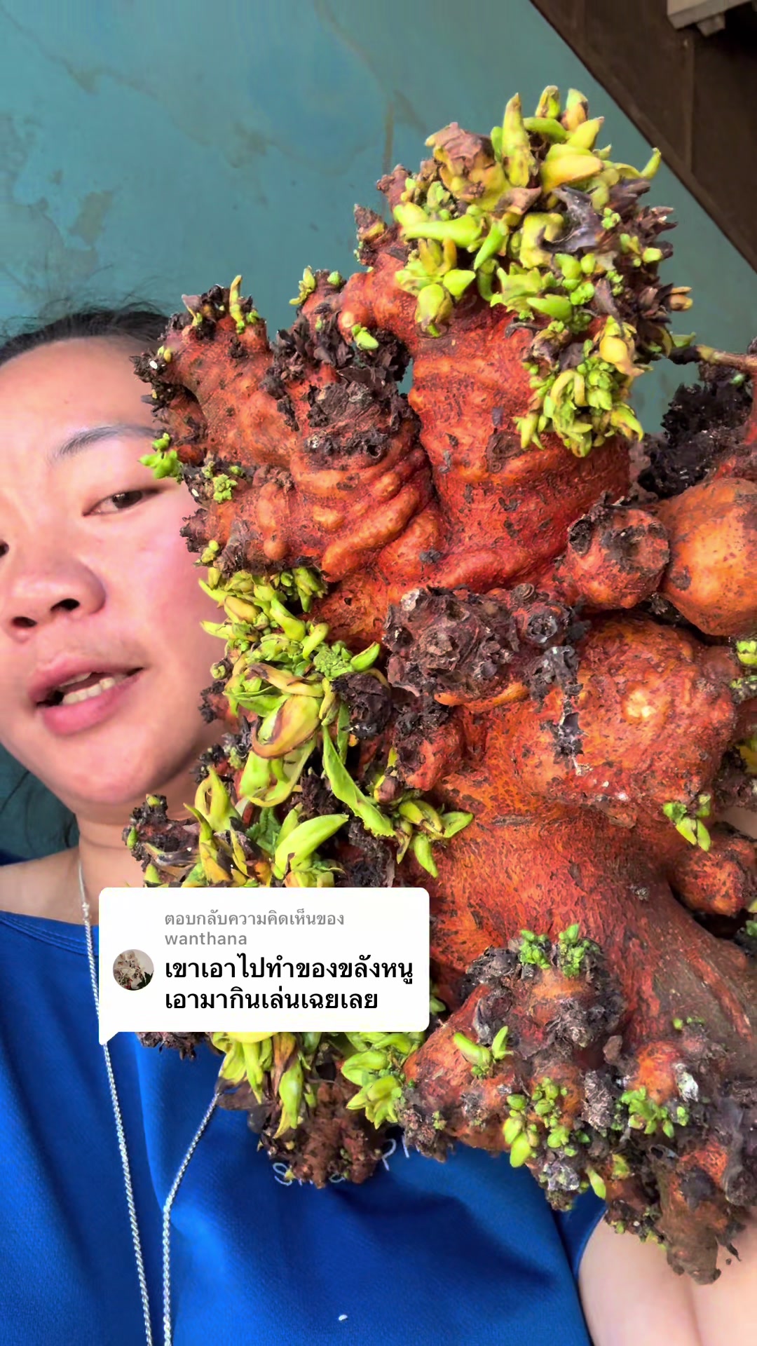 @ລັດດາ ກິນແຊບ ແບບບ້ານໆ(1.M)