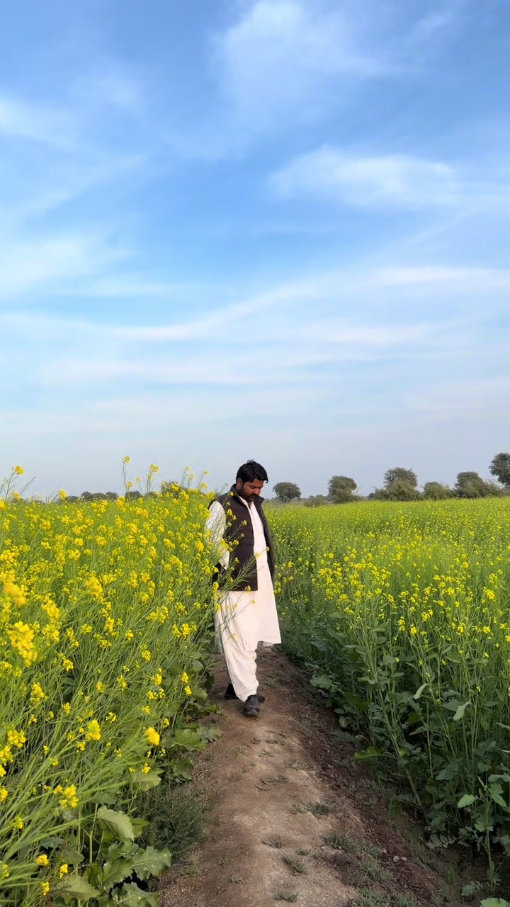 @Shan Ali Jarwar