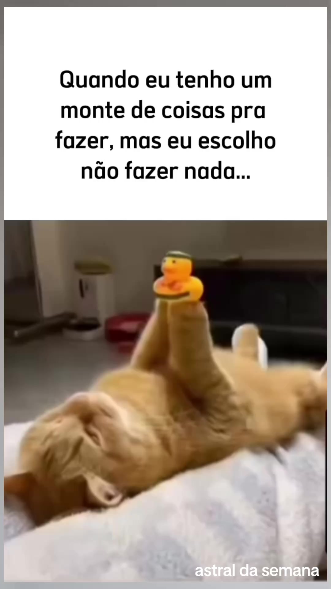 @Astral
