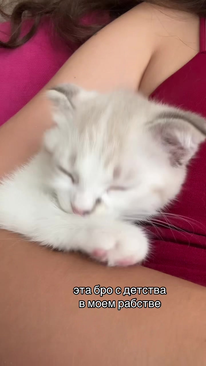 @meow_mia