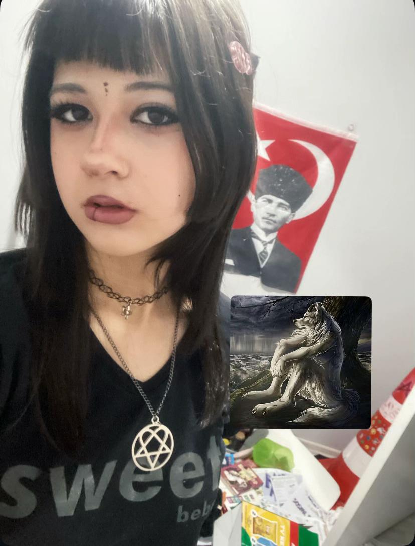 @bursaliiskender
