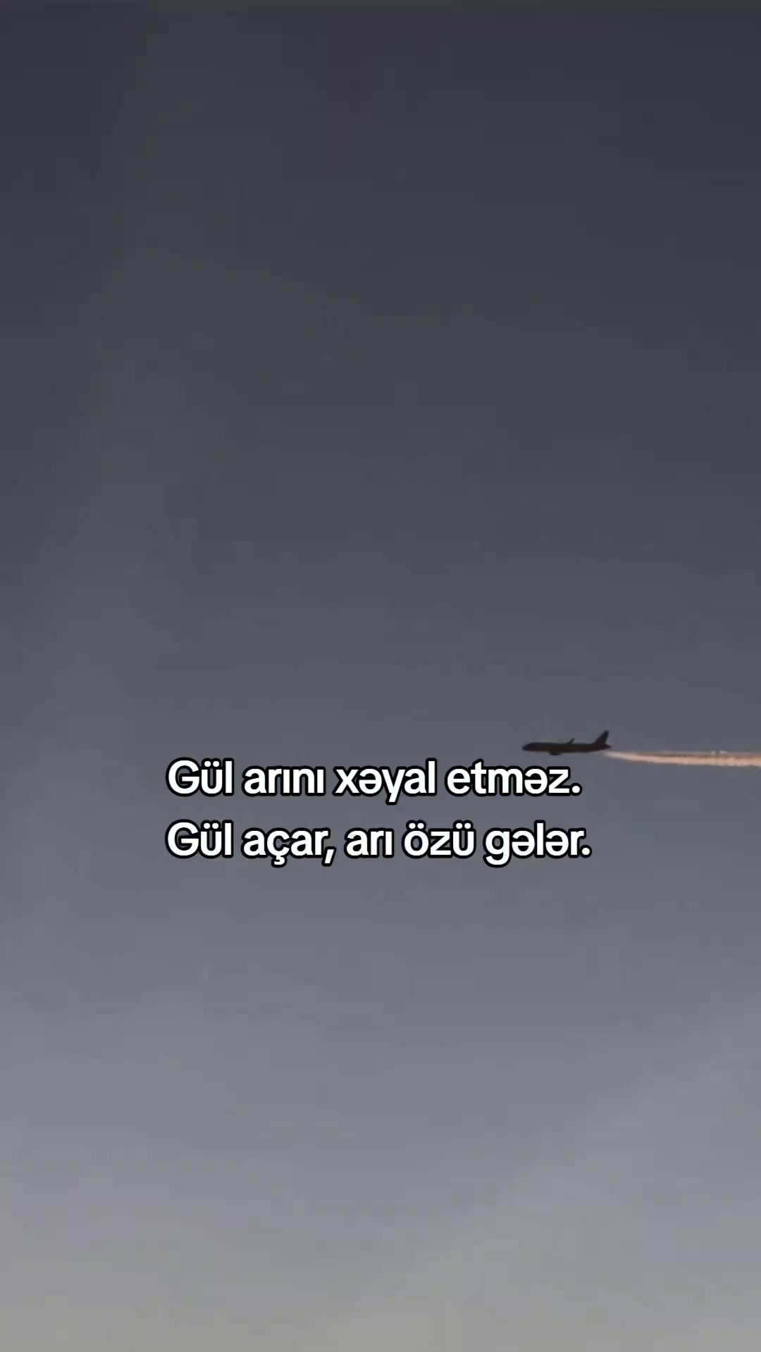 @𝗠𝗲𝗹𝗶𝗸𝗼𝘄𝘀 ⚡️