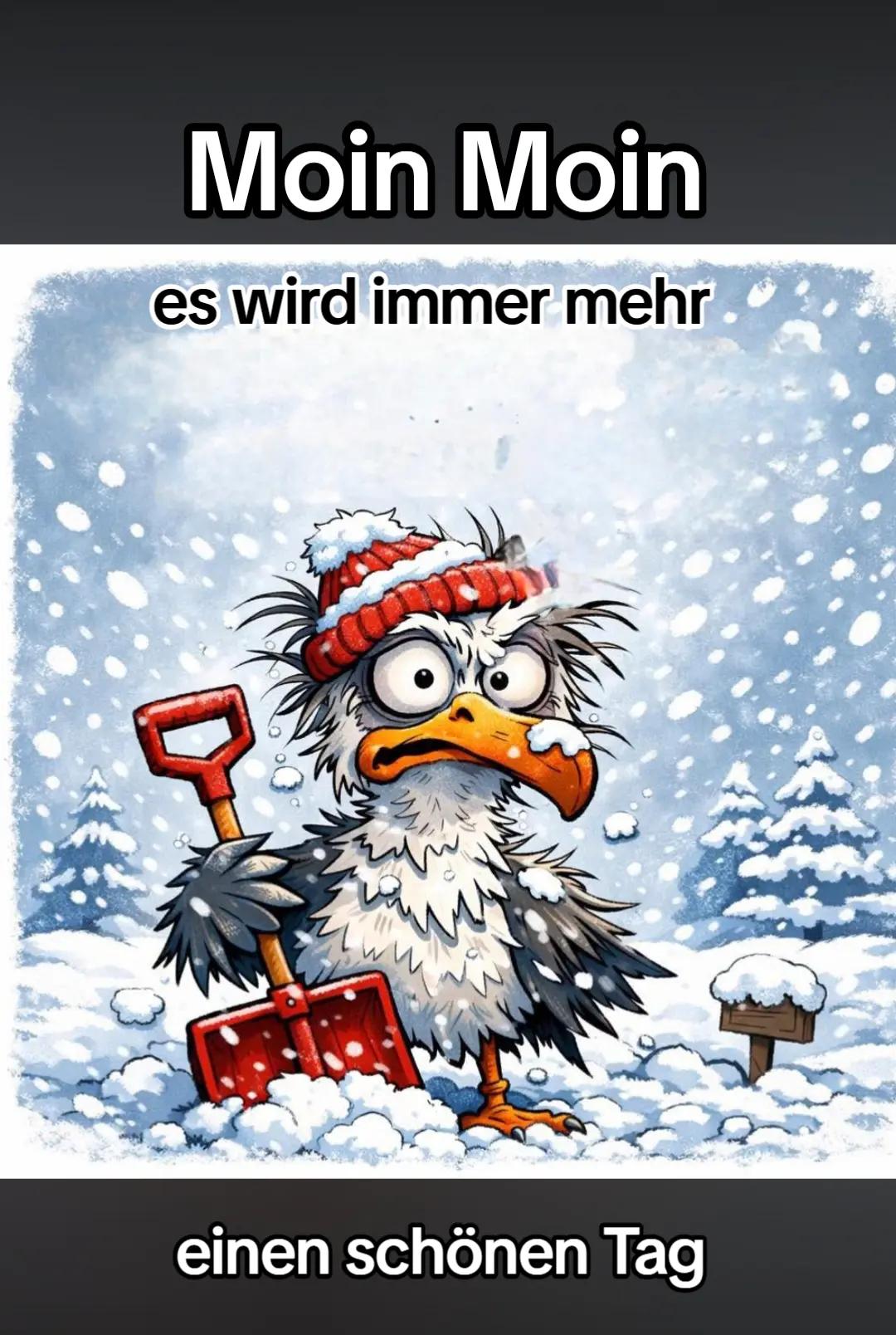 @geistlein12
