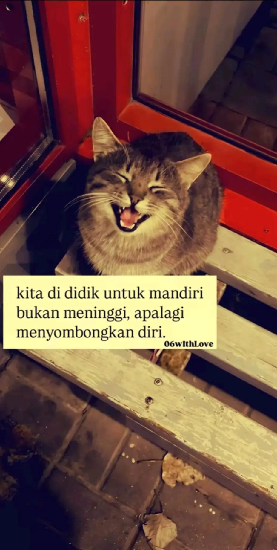 @🔥GINTING🔥