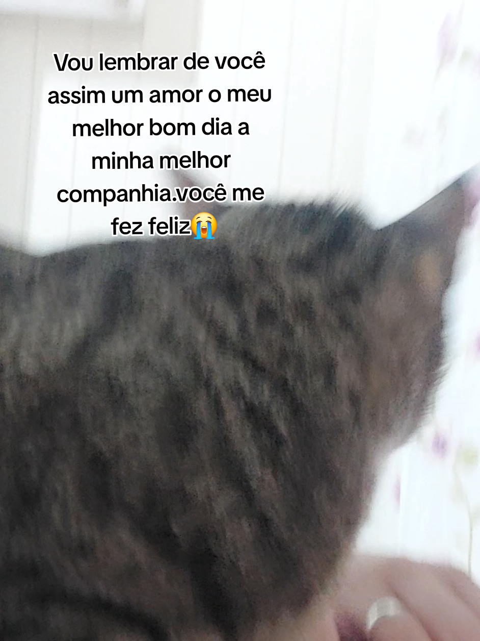 @Luci