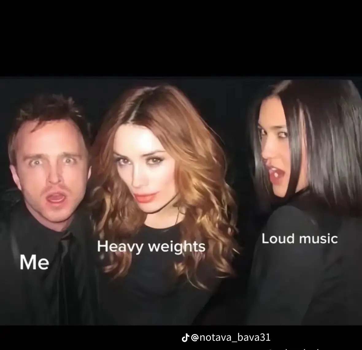 @laurel