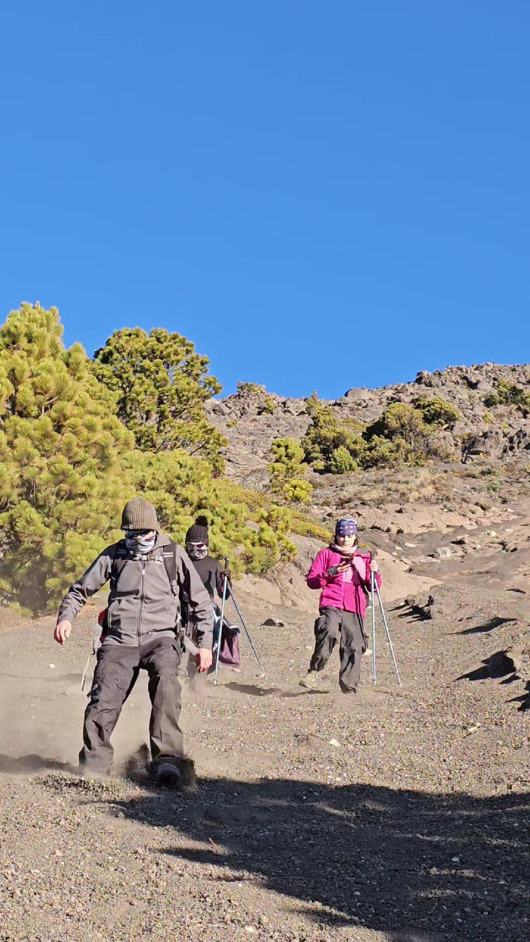 @wolfs.travel.agency