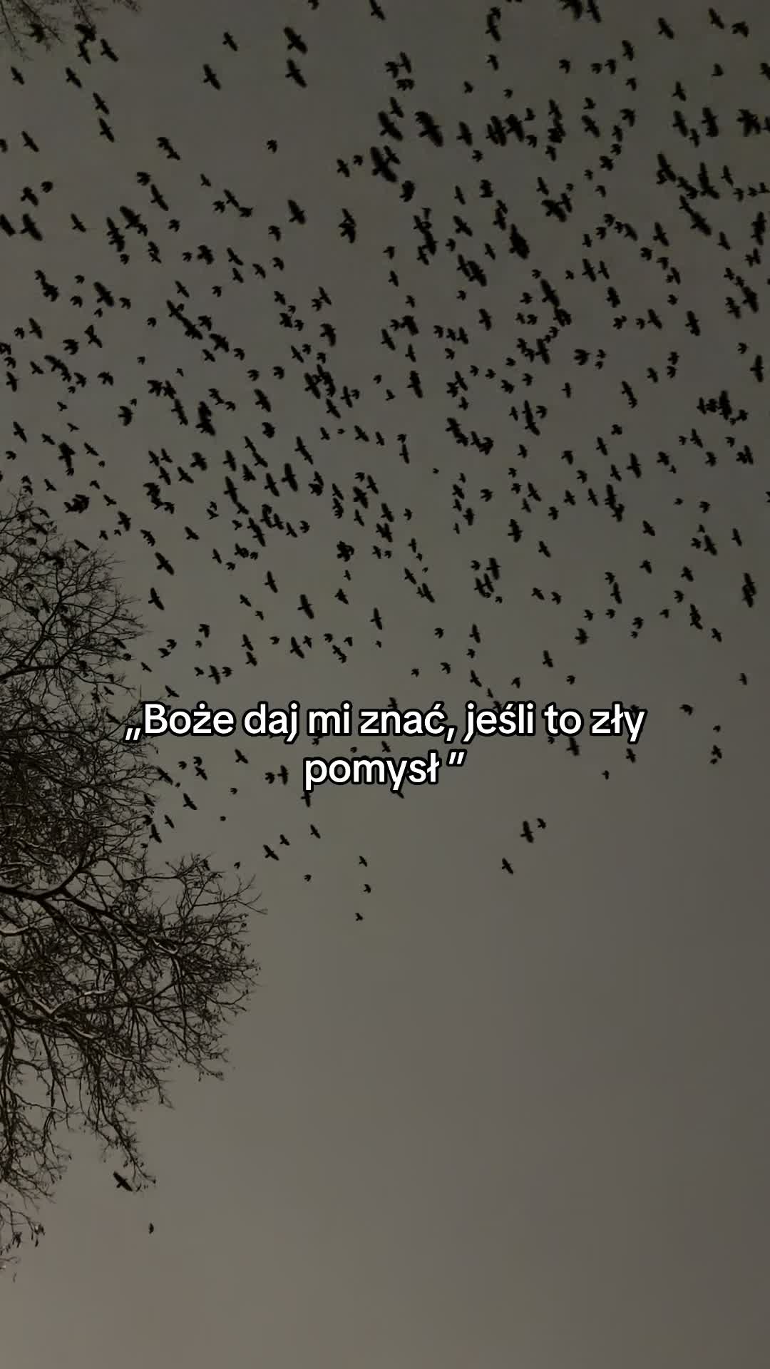 @ania_cm