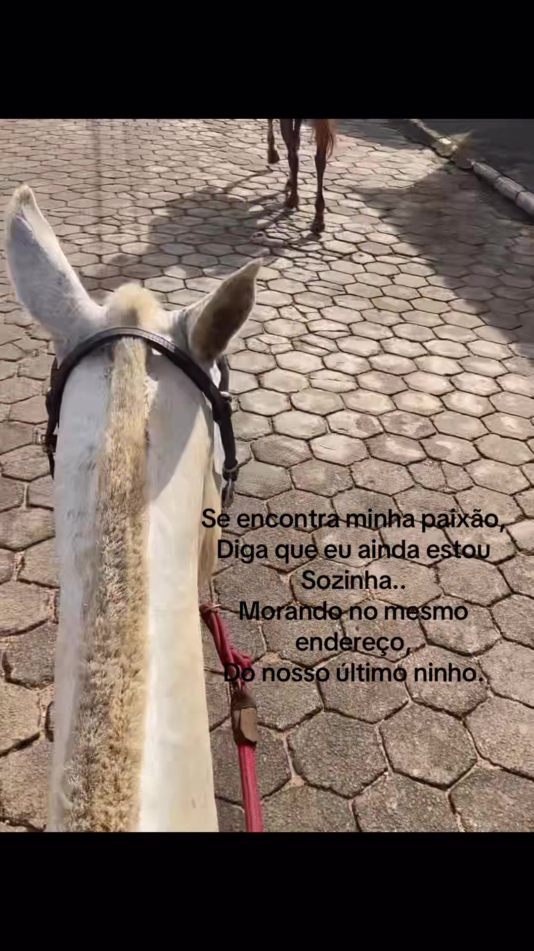 @Isabela Lu&iacute;sa Silva Sousa