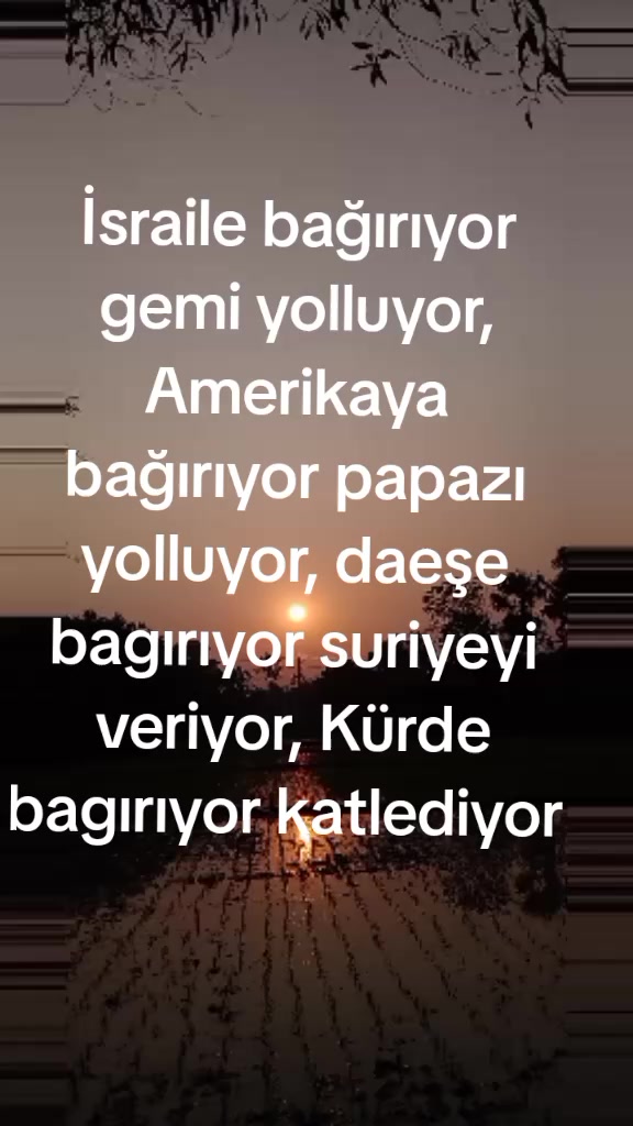 @imdat doğan