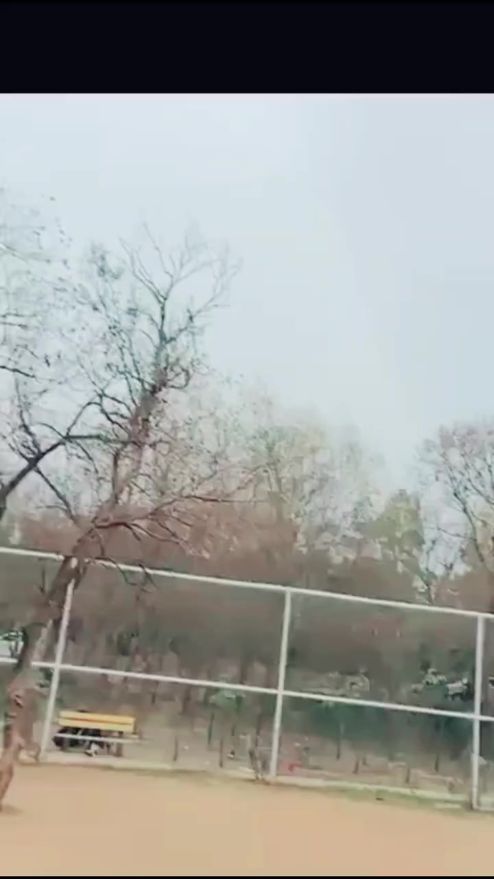 @03130519250
