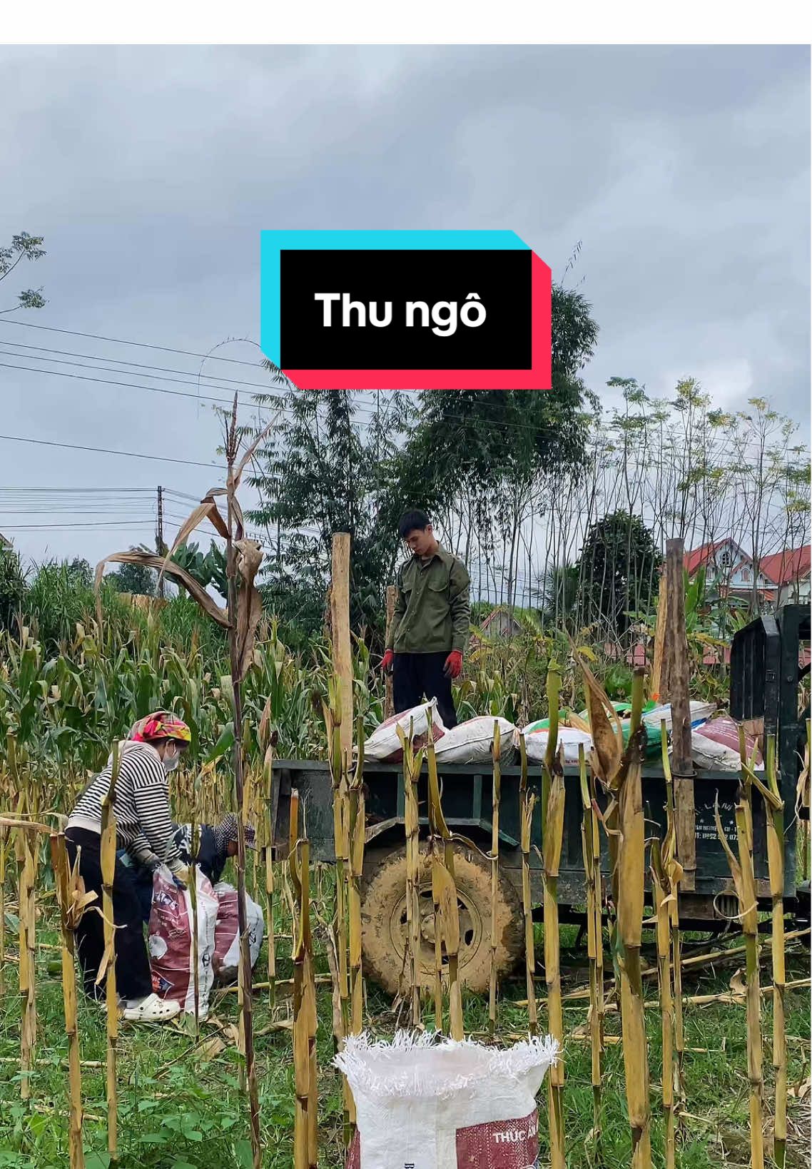 @B&eacute; Thoại
