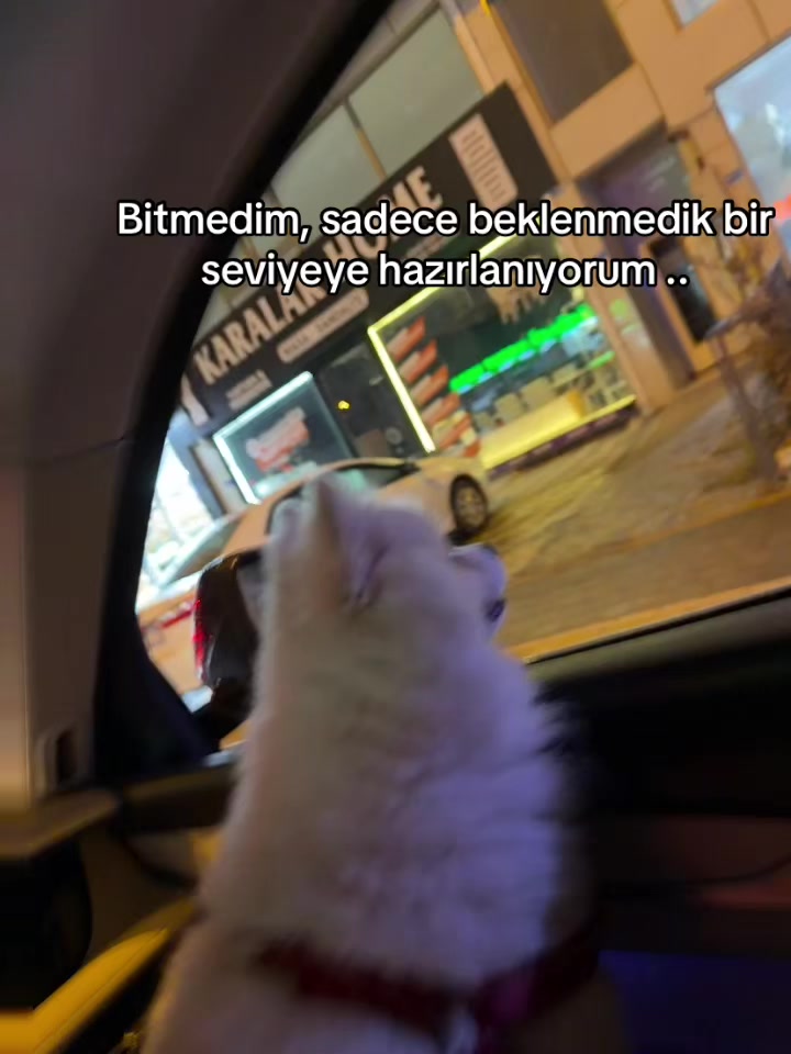 @zeynep_salman04