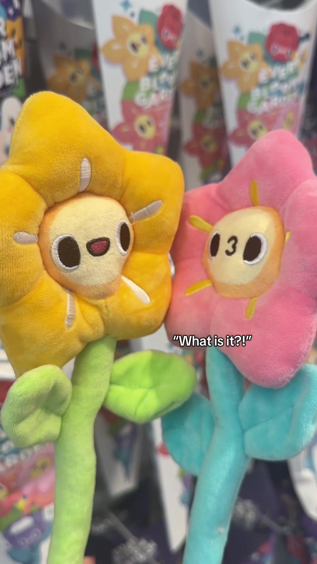 @KENJI