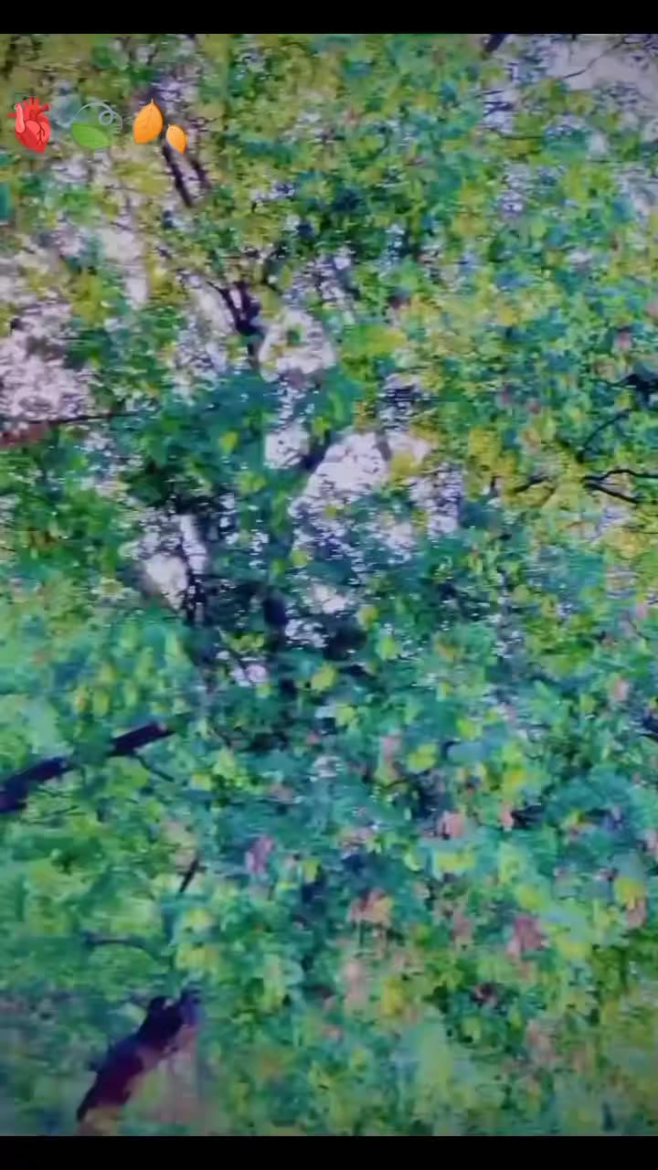 @𒆜ᏚᏥᤂᏥ𝖗𝘶ĸ𝚑𒆜