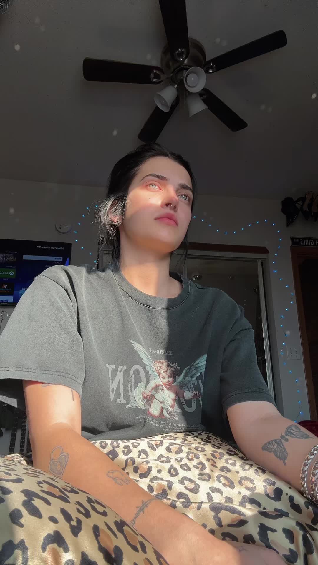 @lilliezworld