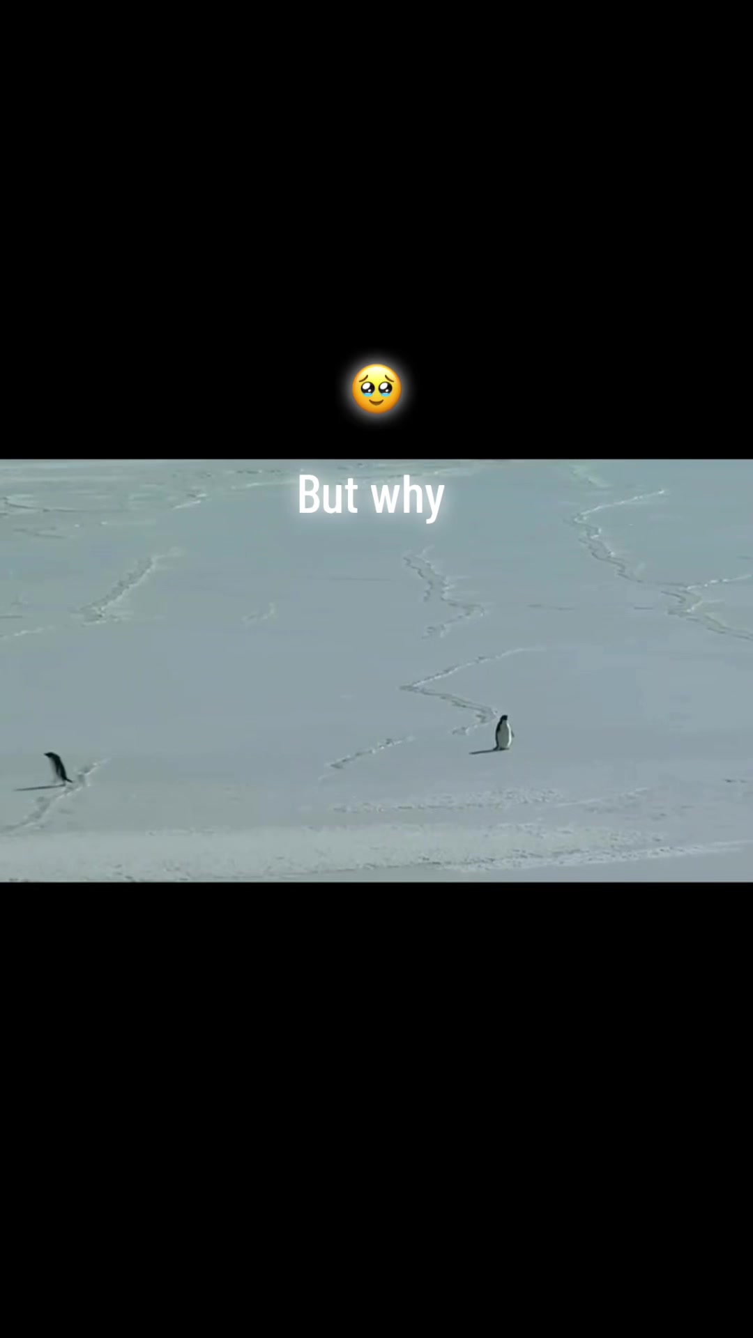 @,