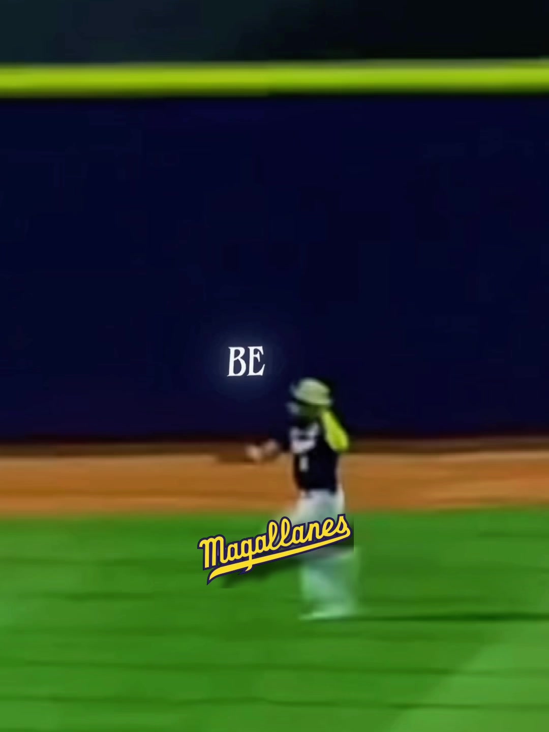 @Franyer &bull; Magallanes