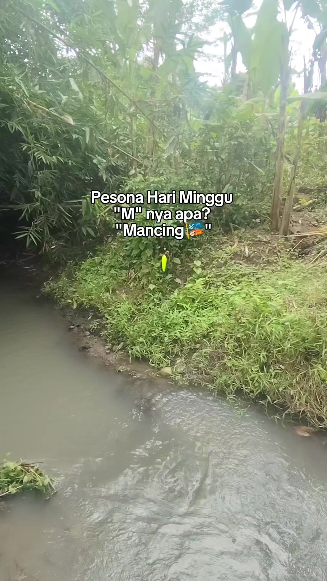 @Wader Hunter