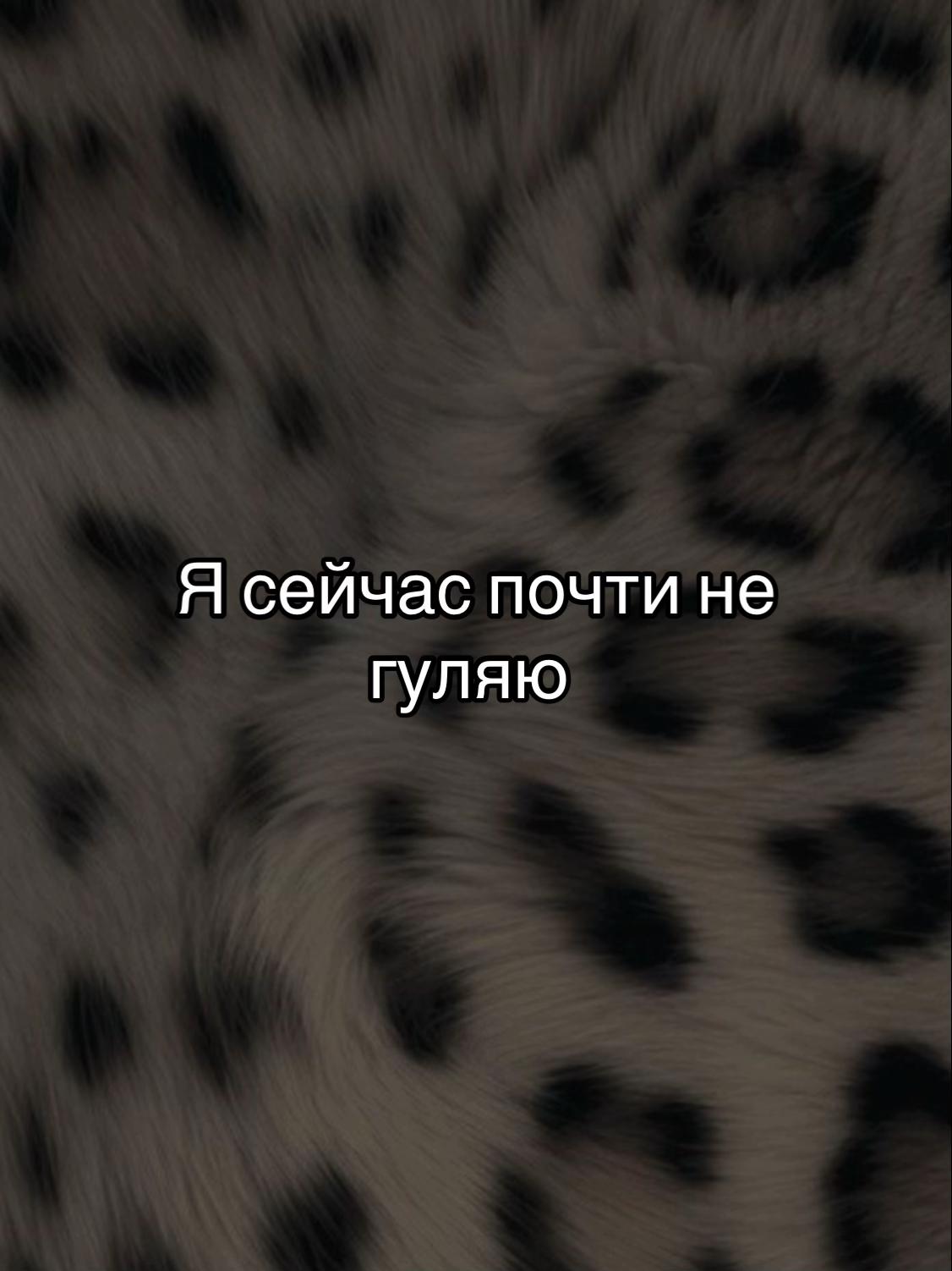 @_Bibo_