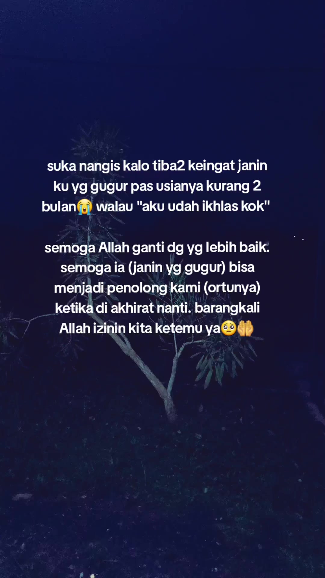@haze