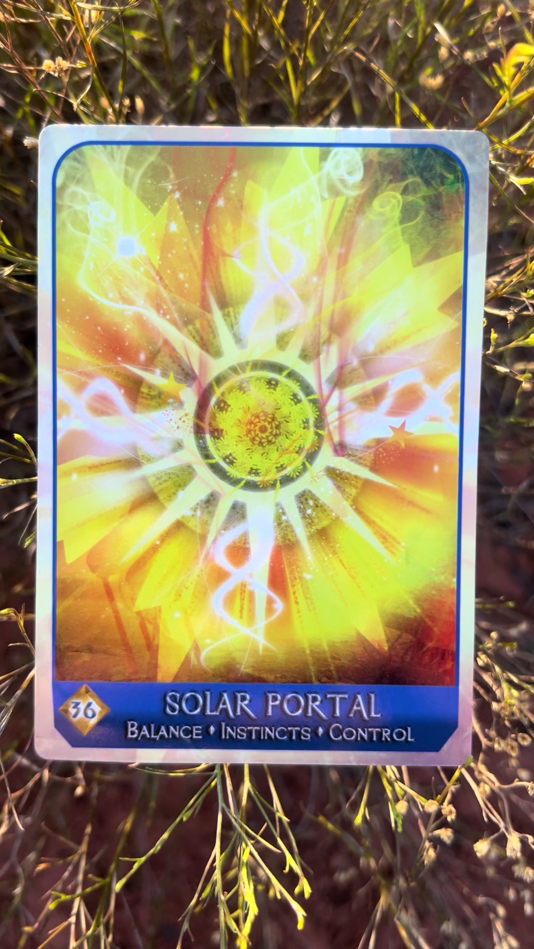 @💫 Star Keeper Oracle 🔮