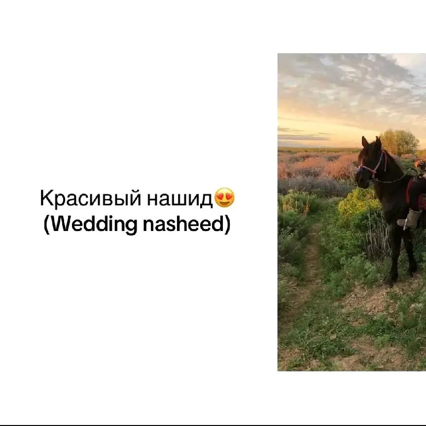 @🧧Гадагия🗡️