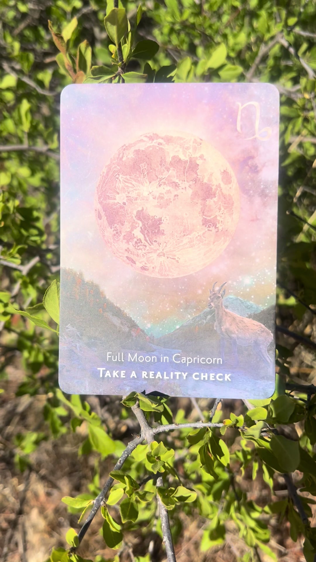 @💫 Star Keeper Oracle 🔮