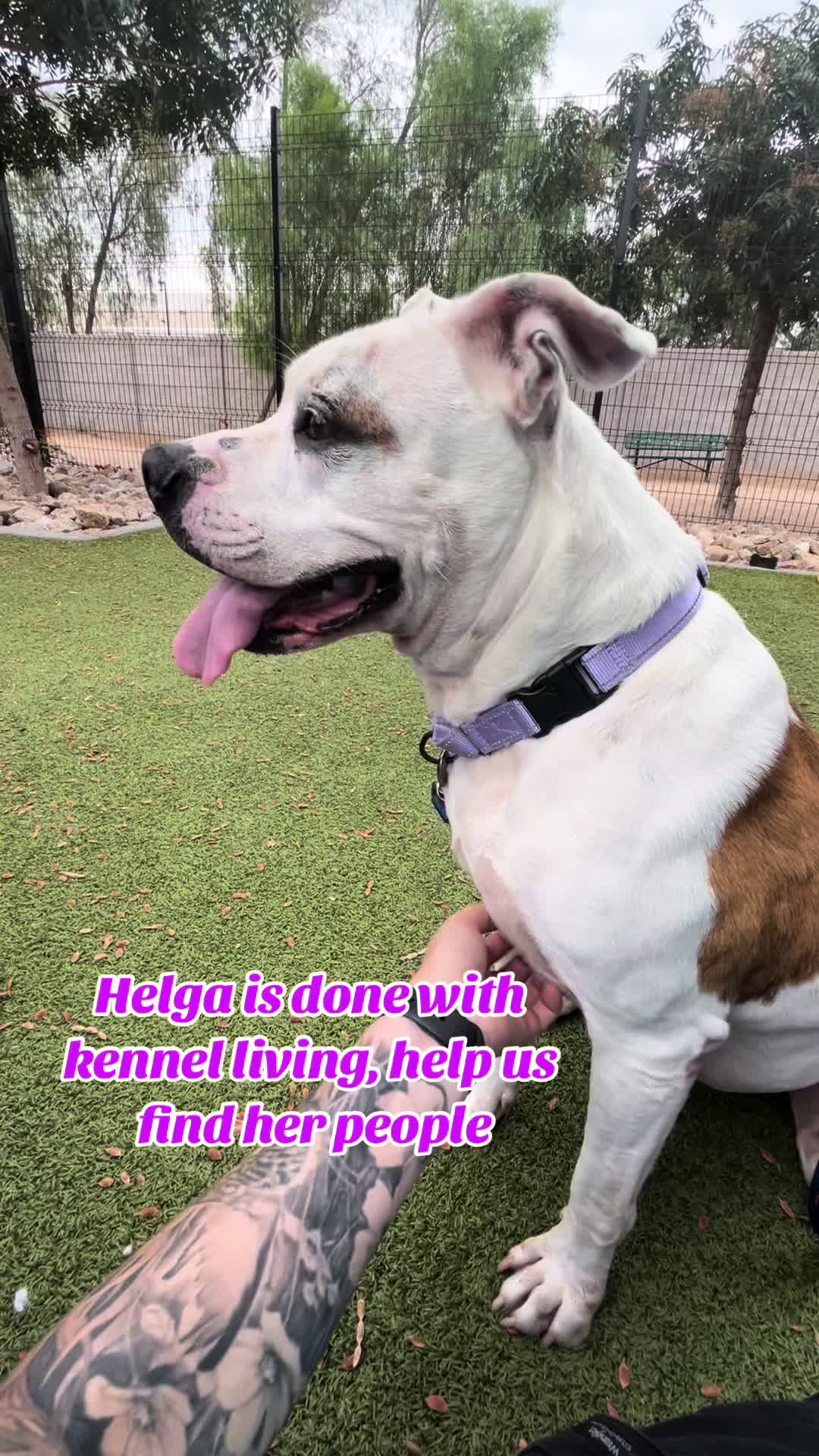 @OneLoveArizona